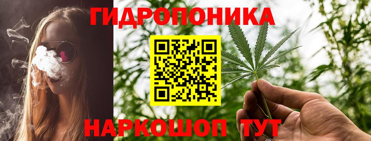 Марихуана семена  Канабис Bruce Banner  Клинцы  Вход с VPN  Бошки Шишки VHQ 